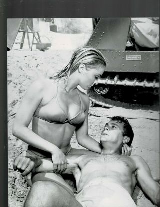 8x10 B & W Photo Of - Sharon Tate - Sexy In Bikini And Tony Curtis - Beefcake
