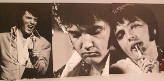 Elvis Presley 3 All Star Shows 14 X 11 " B/w Poster Photo
