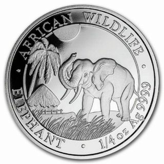 2017 1/4 Troy Oz Somalia Silver Elephant Coin (bu) Sharp,  Lucky Elephant