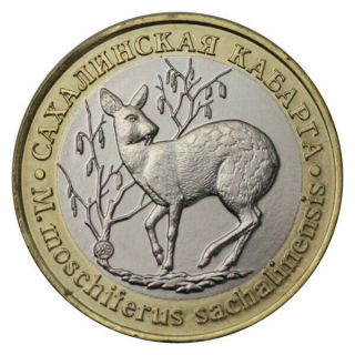 Russia 5 Chervonets Unusual Bimetal Coin - Token Red Book Musk Deer 2019 Unc