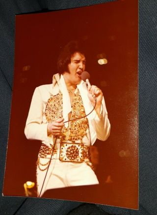 Elvis Presley Concert Photo June 26th 1977 Last Live Concert - Rare Final Pic