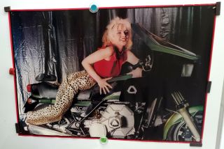 Blondie,  Debbie Harry_original,  1978 Poster_leopard Pants_motorcycle_23.  5 " X 33 "