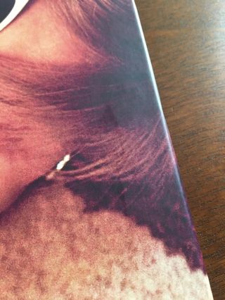 Taylor Swift RED Album Photo/Lyric Coffee Table Book - 10.  5 