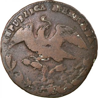 [ 856777] Coin,  Mexico,  1/4 Real,  Un Quarto/una Quartilla,  1836,  Mexico City