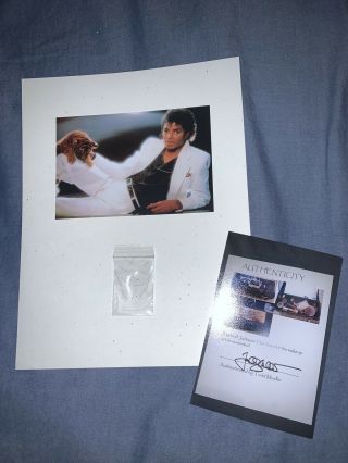 Michael Jackson King Of Pop Hair Strands Large Lock Thriller Relic Collectible