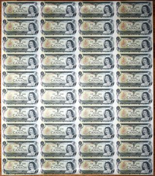 1973 Canada 1 Dollar Bank Note - Uncut Sheet Of 40 - Prefix Ecp