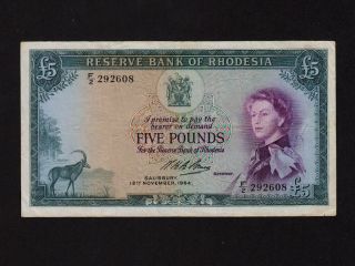 Rhodesia:p - 26,  5 Pounds,  1964 Queen Elizabeth Ii Vf