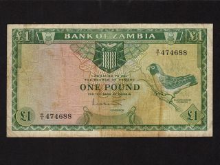 Zambia:p - 2,  1 Pound,  1964 Black Cheeked Lovebird 1st Issue F - Vf