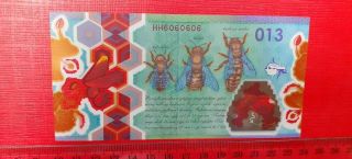 Polymer Test House Note Guardian Banknote Probe Specimen Poland Pwpw Bee Hive