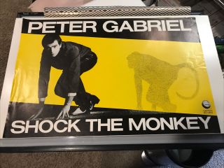 1982 Peter Gabriel Shock The Monkey Promo Rock Poster 35” X 23” Geffen
