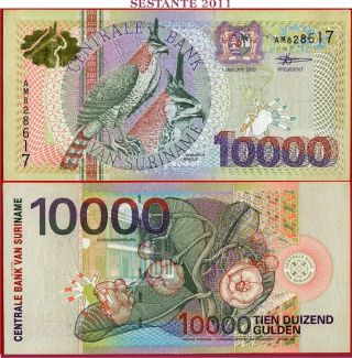 (com) Suriname - 10000 10.  000 Gulden 1.  1.  2000 - P 153 - Xf - (less)