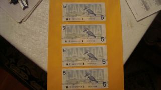 4 Xcanadian 1986 Series Five $5 Dollar Bills Uncirculated Enc9729536 535 534 533