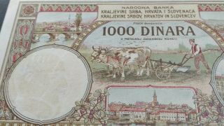 Srbija Serbia Kraljevina SHS Yugoslavia 1000 dinara 1920.  lazna fake 3