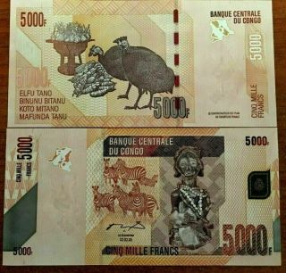 Congo Zaire 5000 5,  000 Francs P102 2005 Error Without Serial Zebra Bank Note