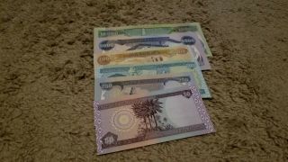 16,  800 Iraqi Dinar 10,  000,  5,  000,  1,  000,  500,  250,  50,  Unc,  Rainbow 6 Notes