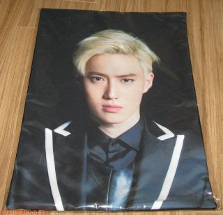 Exo From.  Exoplanet 1 The Lost Planet Concert Goods Suho Cushion Cover