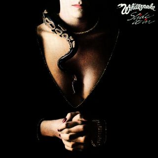 Album Covers - Whitesnake - Slide It In (1984) Album Cover Poster 24 " X 24 "