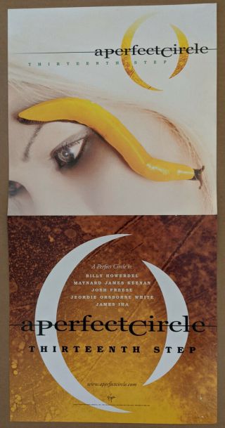 A Perfect Circle 13th Step Album Poster Autographed - Billy Howerdel & James Iha 2