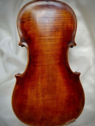 Handsome Vintage Violin Modelled After The John Baptist Schweitzer Style