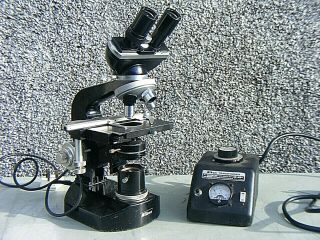 Vintage Nikon Microscope Nikon Transformer
