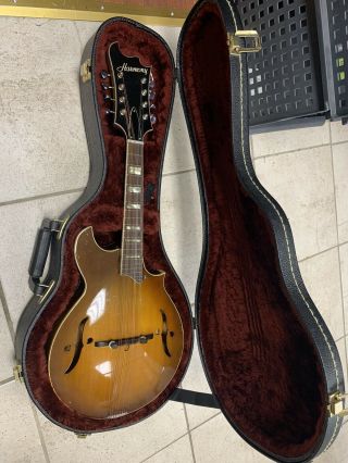 Vintage Harmony Batwing 1970s Mandolin With A Hard Case