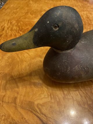 Decoys Duck Decoy Vintage Antique Hunting 1920’s