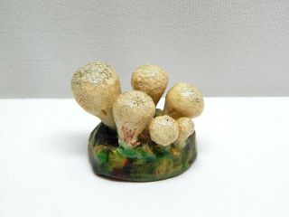 Vintage Lorenzen Of Lantz Nova Scotia " Lycoperdon Gemmatum " Pottery Mushroom