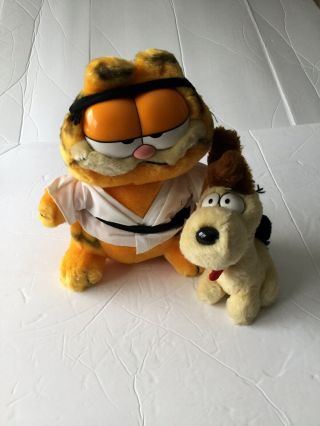 Vintage Karate Garfield The Cat And His Dog/pal Odie Fun Farm By Dakin