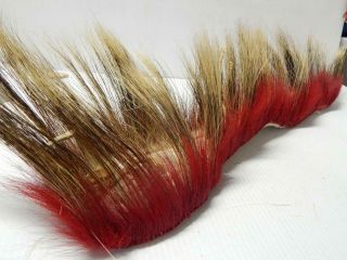 Vintage Plains Woodlands Indian Porcupine Roach Head Dress Red/white