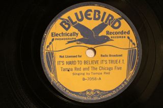 Blues Tampa Red & Chicago Five It 