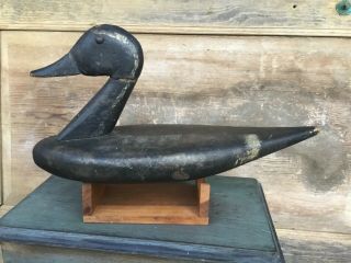 Antique Vintage Old Wooden Early Folky Pintail Drake Duck Decoy