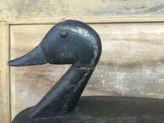 Antique vintage old wooden Early Folky Pintail Drake duck decoy 2