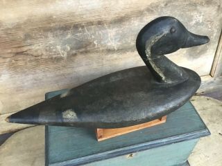 Antique vintage old wooden Early Folky Pintail Drake duck decoy 4