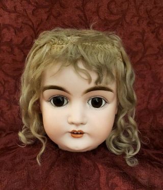 Antique German Large Bisque Socket Doll Head Kestner M Series Org Wig & Pate