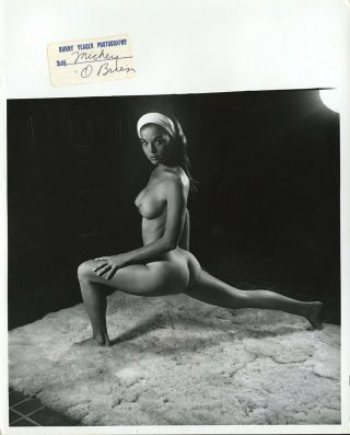 Bunny Yeager 1960 8 " X 10 " Photograph Pretty Nude Figure Model Mickey O 
