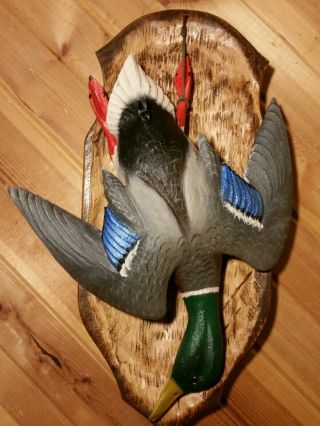 Mallard Deadmount Wood Carving Waterfowl Art Duck Decoy Casey Edwards 2