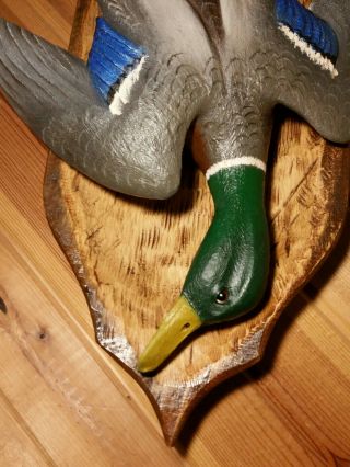 Mallard Deadmount Wood Carving Waterfowl Art Duck Decoy Casey Edwards 3
