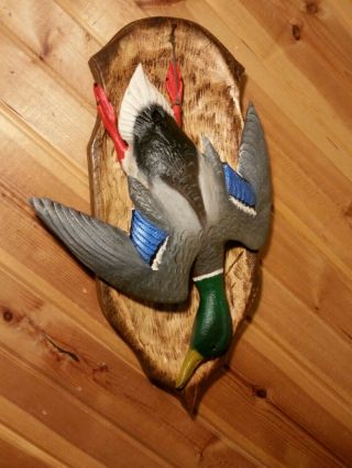 Mallard Deadmount Wood Carving Waterfowl Art Duck Decoy Casey Edwards 5
