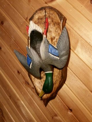 Mallard Deadmount Wood Carving Waterfowl Art Duck Decoy Casey Edwards 6