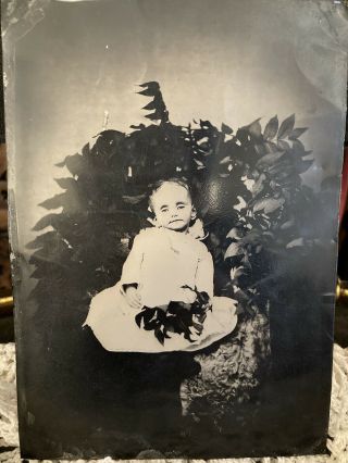 Antique Vtg Tintype Photo Victorian Post Mortem Baby Death Pic Momento Mori 7x5”