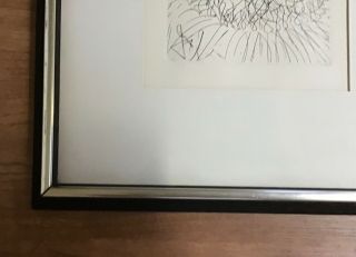 Vintage Salvador Dali Framed Etching “Cervantes” Verso Mid - Century Frame 15 