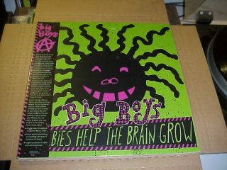 Lp: Big Boys - Lullabies Help The Brain Grow Punk Kbd,  Download