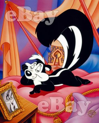 Rare Pepe Le Pew Cartoon Photo Warner Bros Animation Looney Tunes
