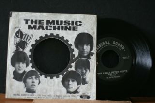 The Music Machine " The Eagle Never Hunts The Fly " With Sleeve (m -) Listen