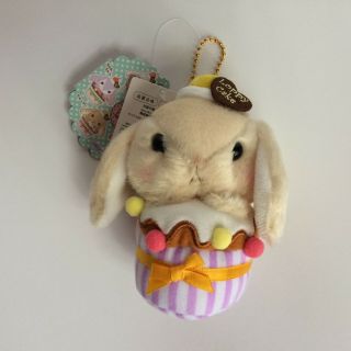Amuse Pote Usa Loppy Cup Cake " Chappy " (10cm) Lop Rabbit Bunny Plush Japan