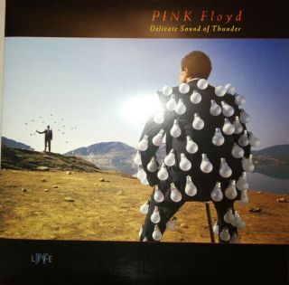 Pink Floyd - Delicate Sound Of Thunder 2 X Lp - 180 Gram Vinyl Album Hits Record