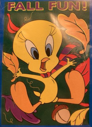 Vintage 1999 Looney Tunes Tweety Bird Fall Fun Decorative Flag 28” X 40 " New‼️