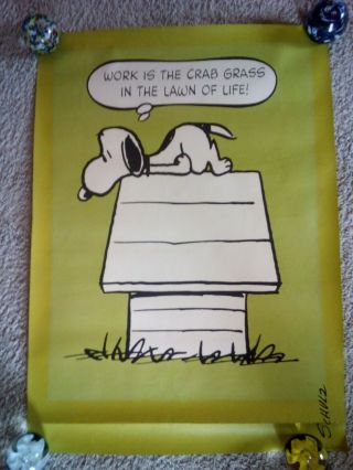 Snoopy 1960s - 70s Poster Springbok