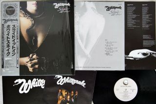 Whitesnake Slide It In Geffen 32ap 2681 Japan Obi Shrink Poster Vinyl Lp