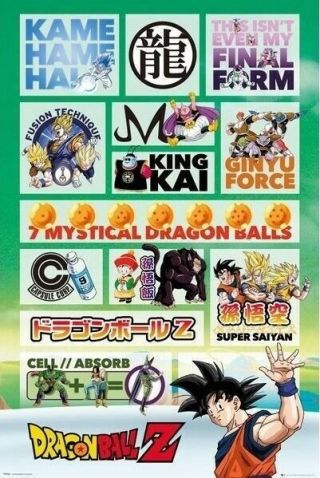Dragonball Z Infographic 24x36 Anime Poster New/rolled Manga Dbz